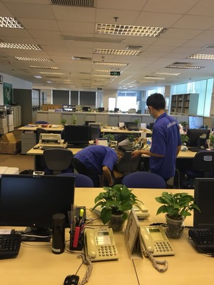 别墅灭鼠、灭蟑、灭蝇技术咨询指南