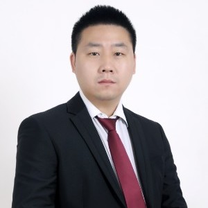 刘双平 技术咨询领域的卓越引领者