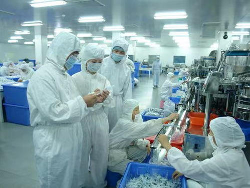 苏州车间净化建设的关键技术与浙江美兆环境技术的专业实践